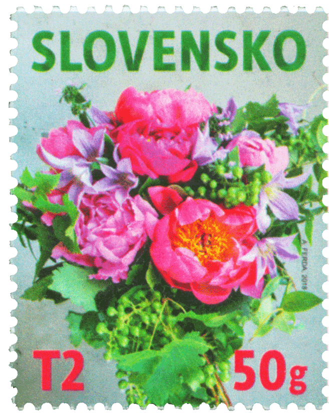 Katalógové číslo: 663