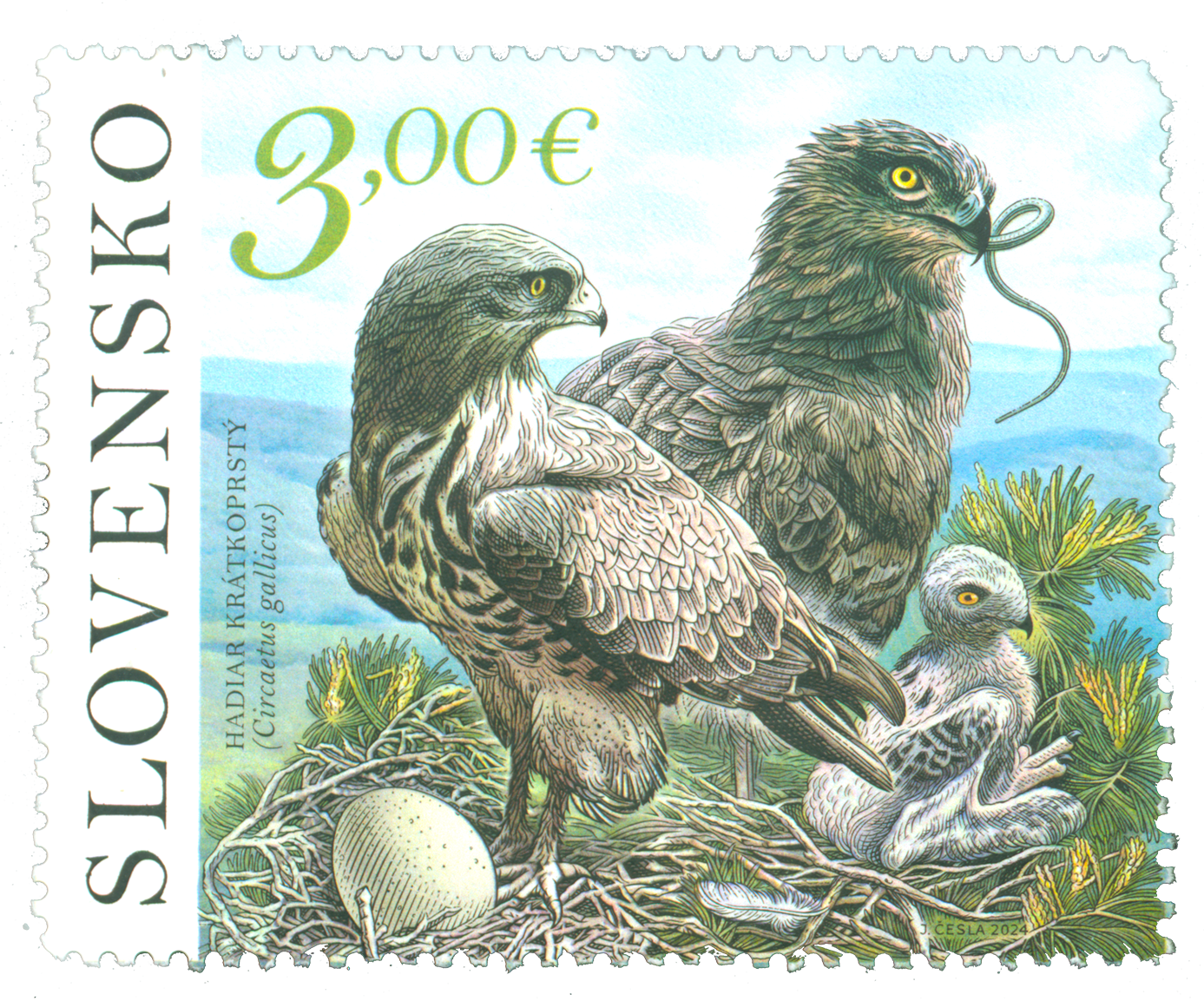 820 - Ochrana prírody: Vihorlatské vrchy – Hadiar krátkoprstý (Circaetus gallicus)